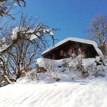 Ferienhaus Schnider Galgenul Exteriér fotografie